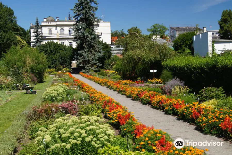 Botanischer Garten