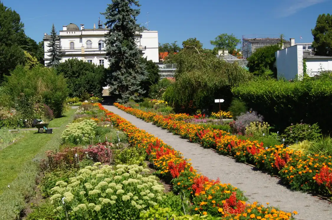 Hotel in zona Giardino botanico di Cracovia