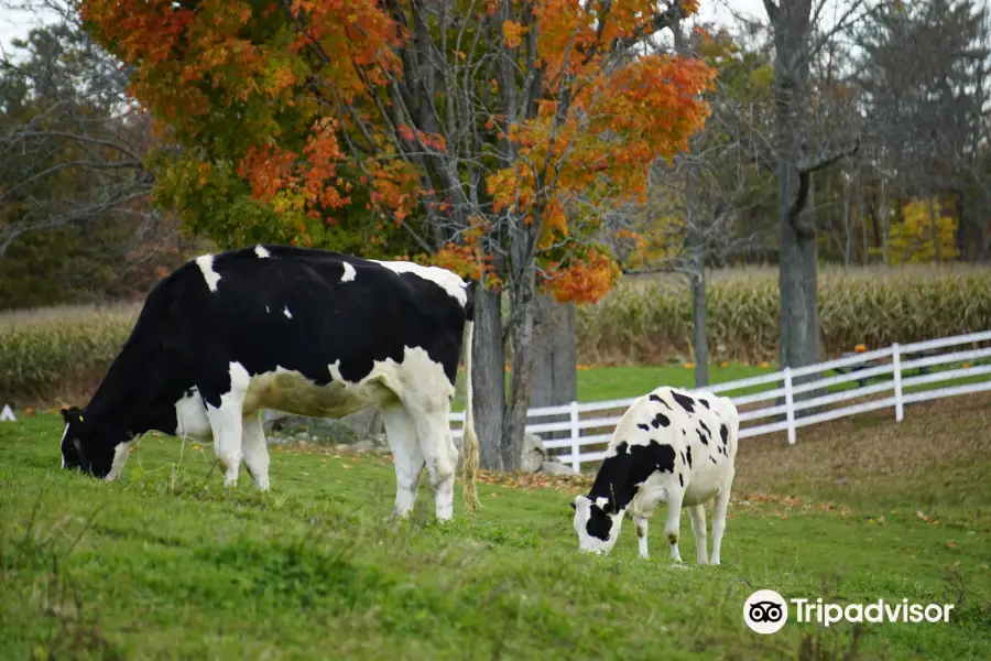 Pineland Farms