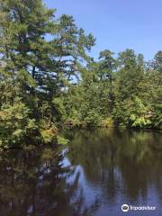 Cedar Run Wildlife Refuge