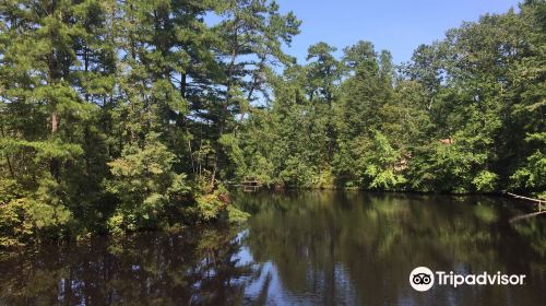 Cedar Run Wildlife Refuge