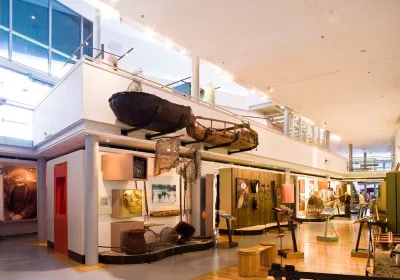 National Museum of Ireland - Country Life