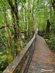 Franklin-Gordon Wild Rivers National Park