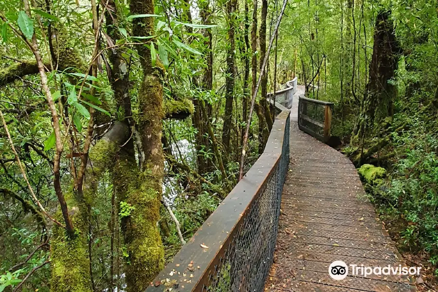 Franklin-Gordon Wild Rivers National Park