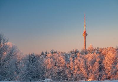 Fernsehturm Tallinn