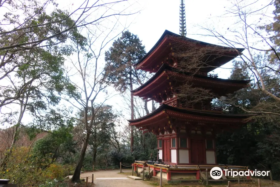 浄瑠璃寺