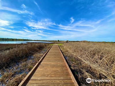 Cosumnes River Preserve