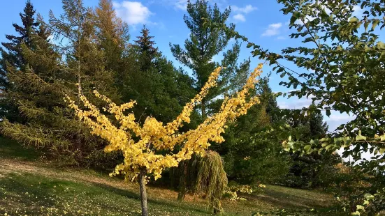 Parc de la Cité