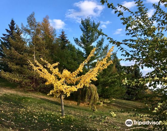隆格伊 自由行套票