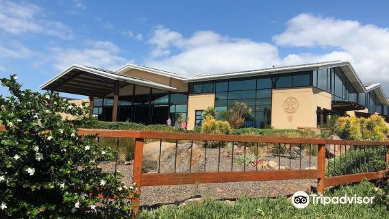 Maui Brewing Co.