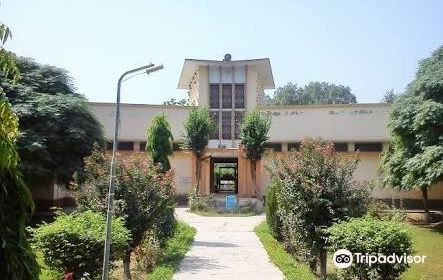 Harappa Museum