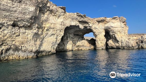 Seahorse Cruises