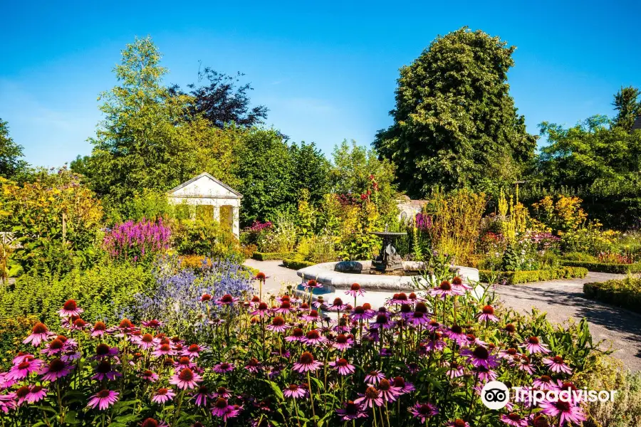 Cowbridge Physic Garden