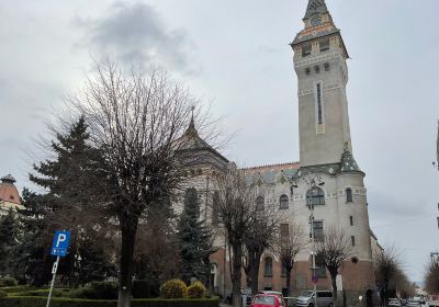 Târgu Mureș Palace of Culture