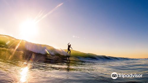 Toes on the Nose Surf Shop