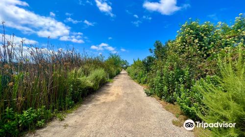 San Joaquin Marsh Wildlife Sanctuary