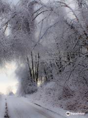 Lynde Shores Conservation Area