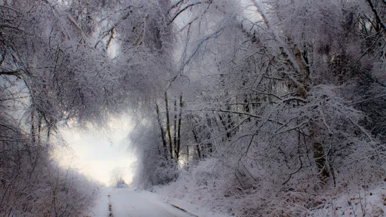 Lynde Shores Conservation Area