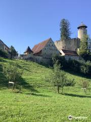 Schloss Birseck