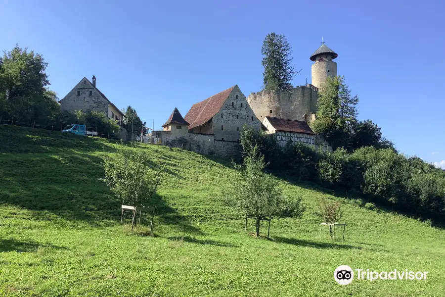 Schloss Birseck