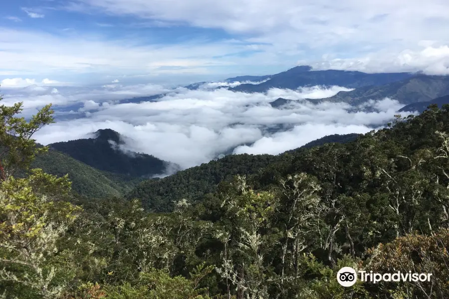 Chirripo National Park