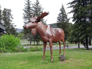 Wells Gray Provincial Park