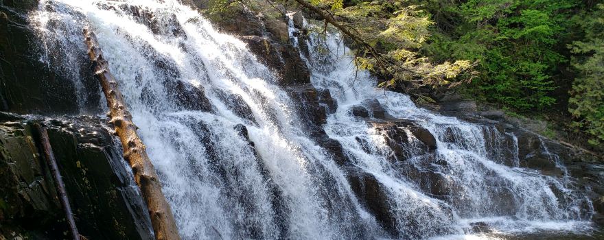 Houston Brook Falls