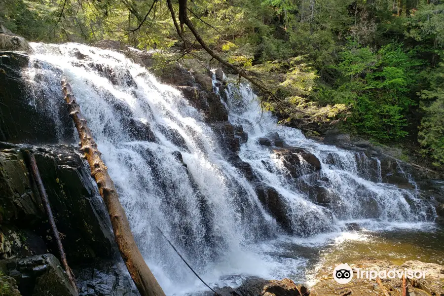 Houston Brook Falls