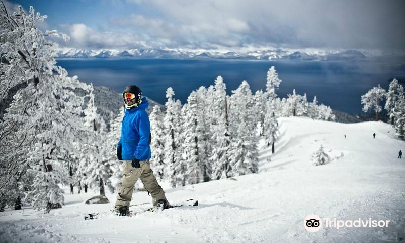 인클라인 빌리지데이 투어