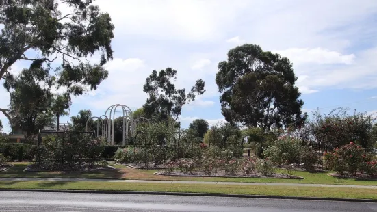 Morwell Centenary Rose Garden