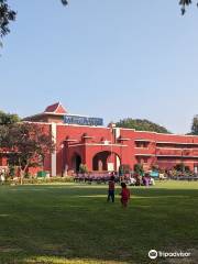 Prayagraj Museum