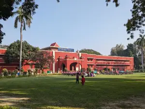 Prayagraj Museum