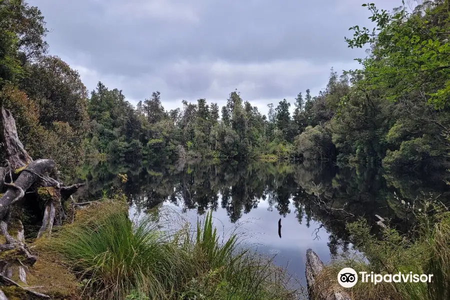 Lake Wombat Track