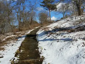 Mt. Hashikami