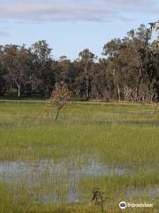 Wartook State Forest