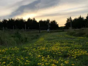 ナイオブララ州立公園