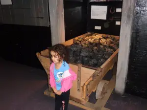 Coal Heritage Museum