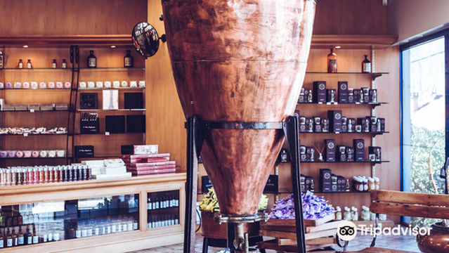 Studio des Fragrances Galimard