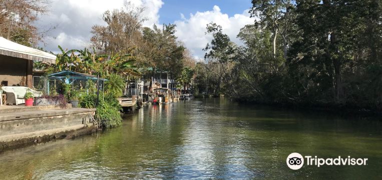 Things to Do in Weeki Wachee in 2025 Top Attractions, Local Food