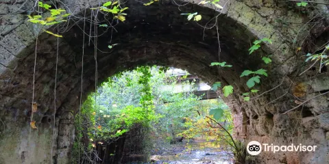 Castello di Ponte Nepesino