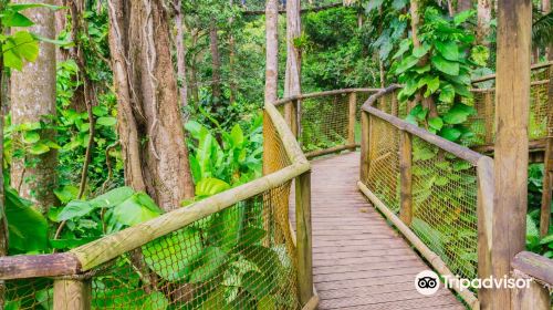 Parc des Mamelles, le Zoo de Guadeloupe