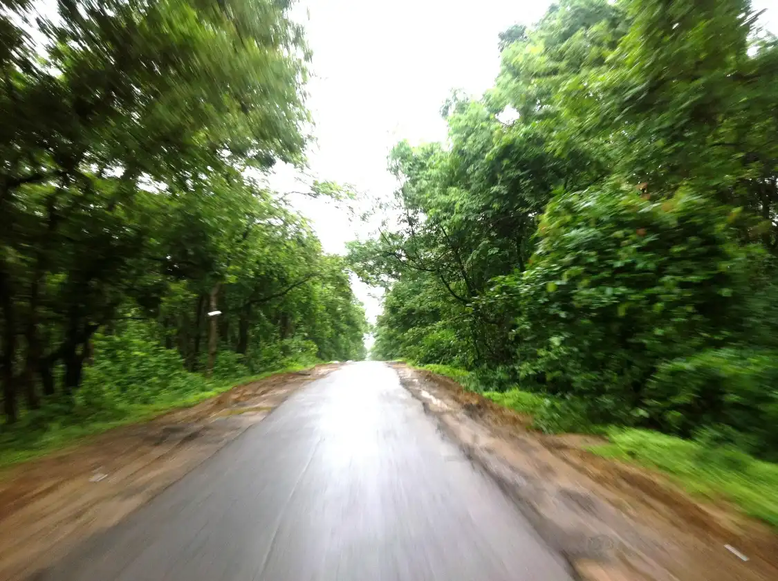 Hotels near Eturnagaram Wildlife Sanctuary