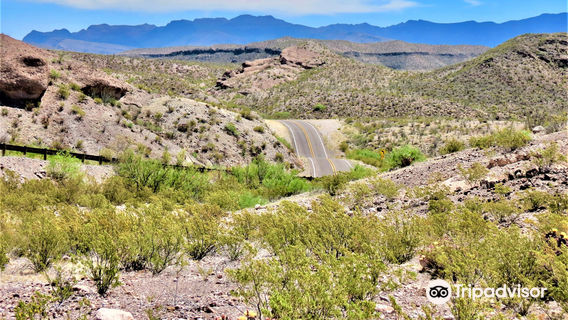 El Camino Del Rio