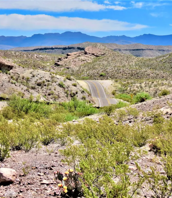 Terlingua