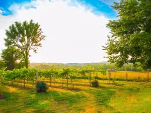 Lake Creek Winery