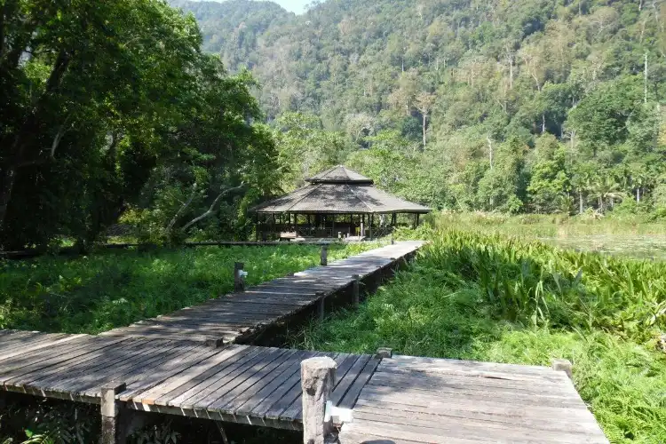 Hotels in Khuan Don District