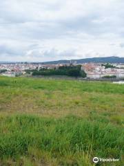 Bosque de Galicia