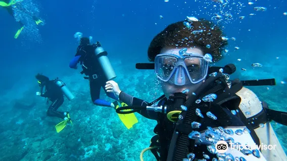Be Water Diving center Tamarindo