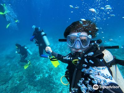 Be Water Diving center Tamarindo