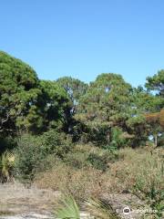 Seacrest Scrub Natural Area